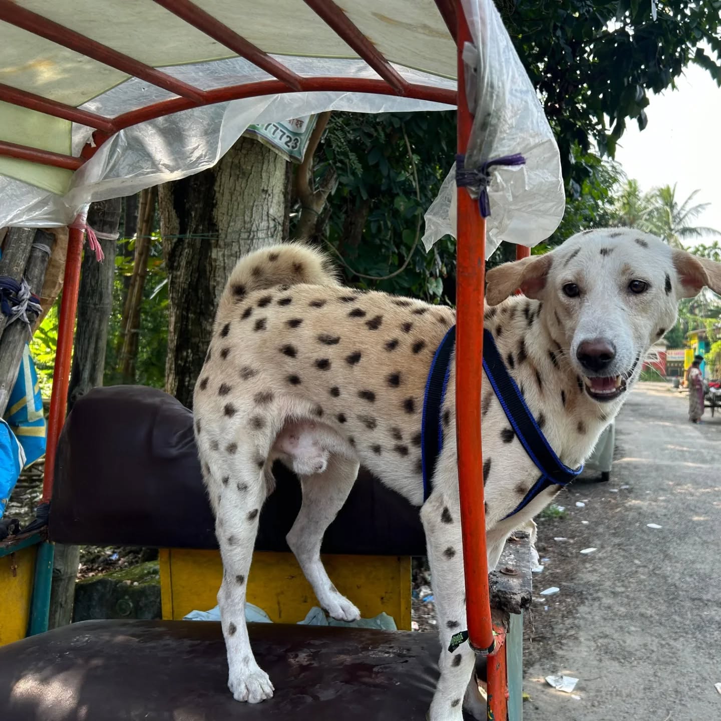 464321991_17850797283321604_8453938489916330145_n