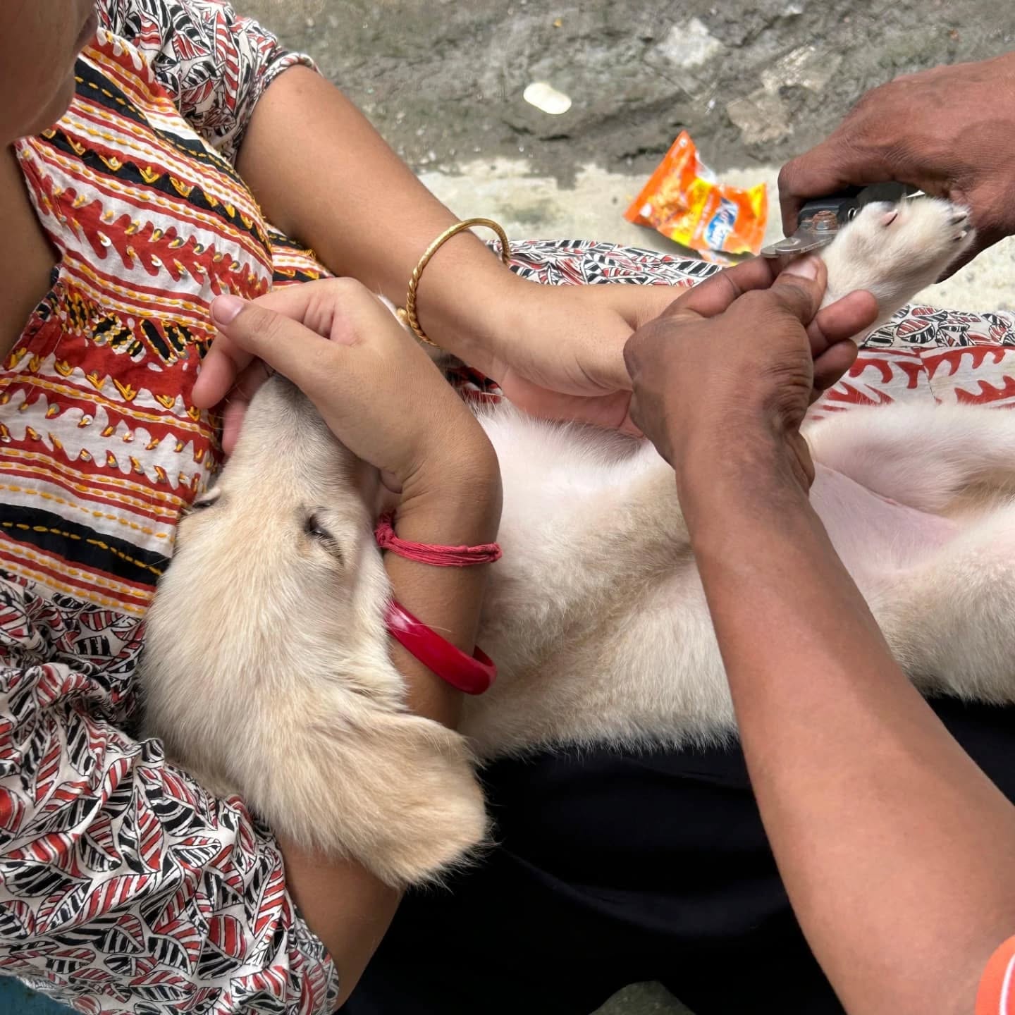 464429745_17850795501321604_8253829939897391874_n