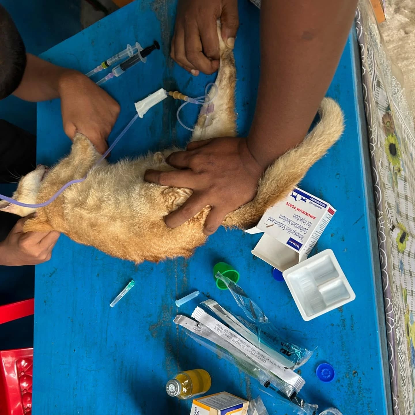 464442548_17850799755321604_6804953015337151056_n