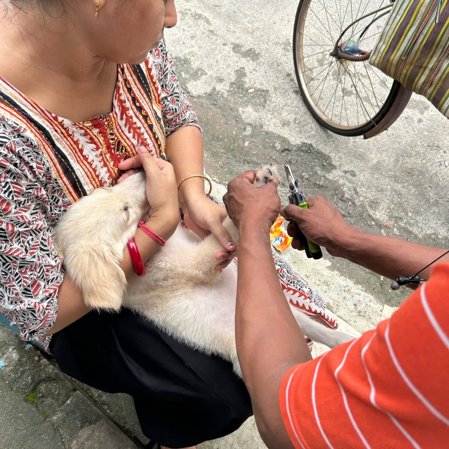 464475411_17850795495321604_7570992919291123128_n