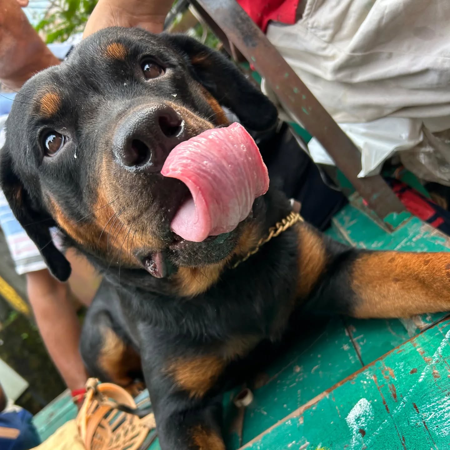 464475617_17850800781321604_5677295813202623235_n