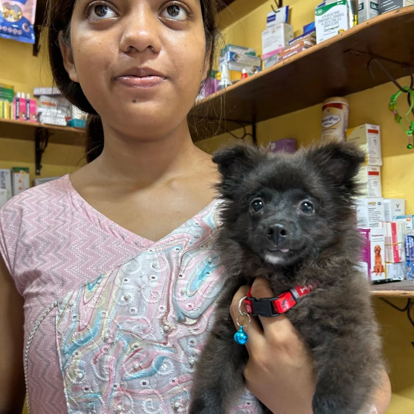 464488219_17850801045321604_4361525347212134458_n