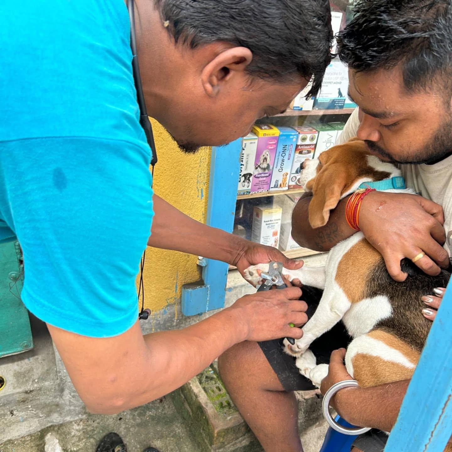 464605438_17850805551321604_2409475748527927430_n