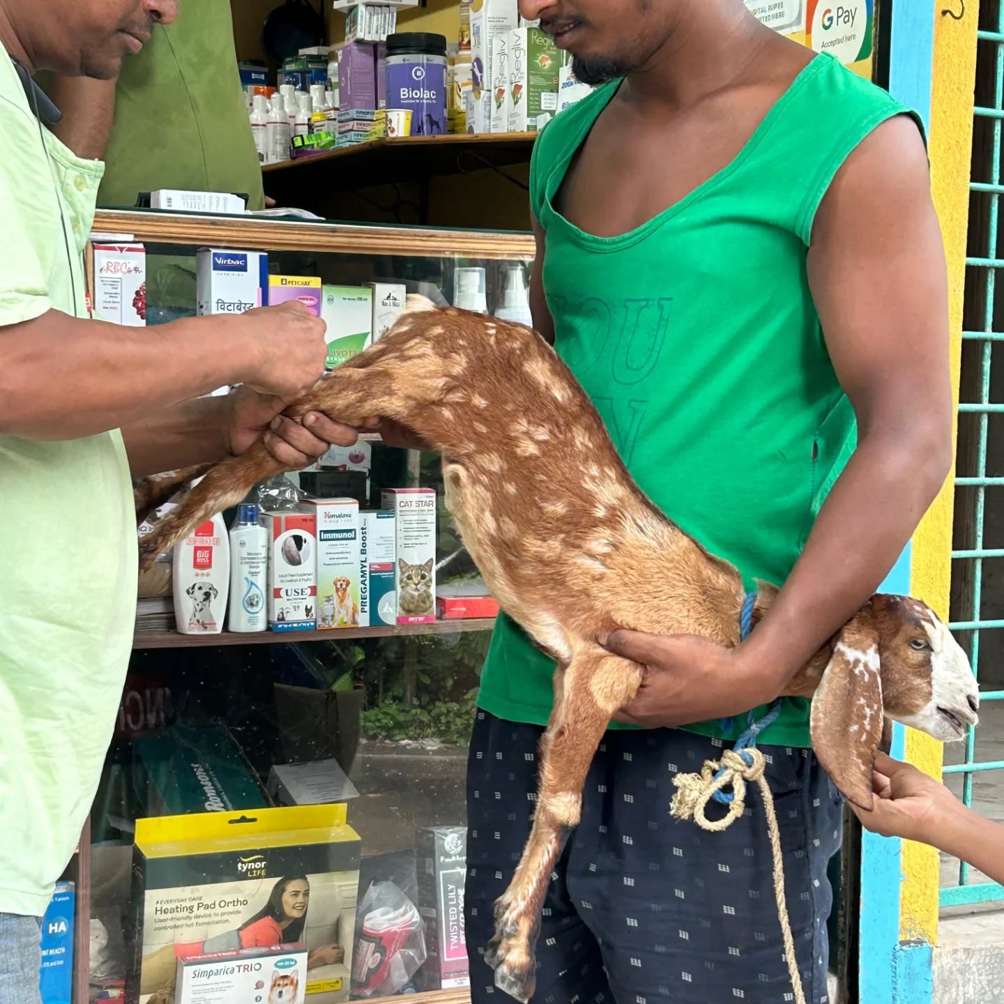 464686977_17850796569321604_4752749619487001817_n