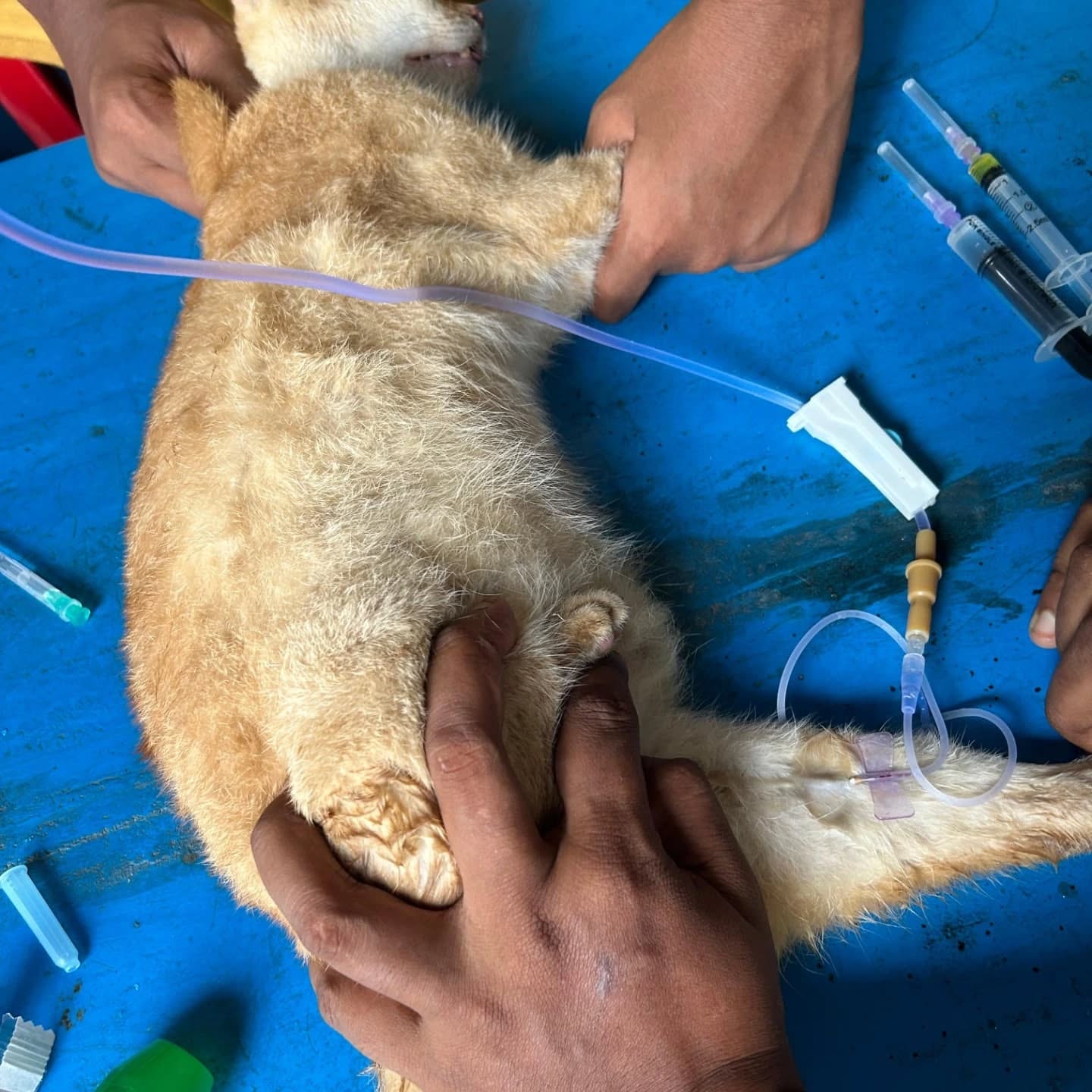 464740054_17850799752321604_8760086975499811848_n