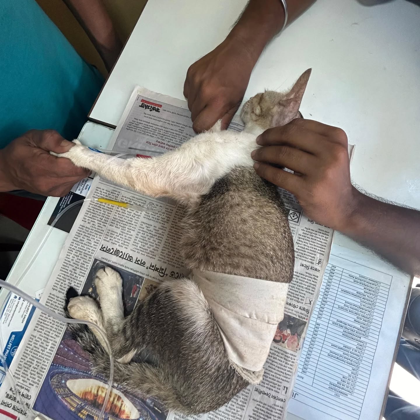 464749373_17850800883321604_88018596309113075_n