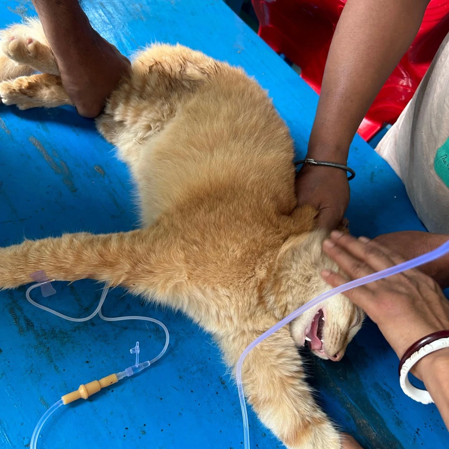 464757311_17850799764321604_6324422536110911812_n