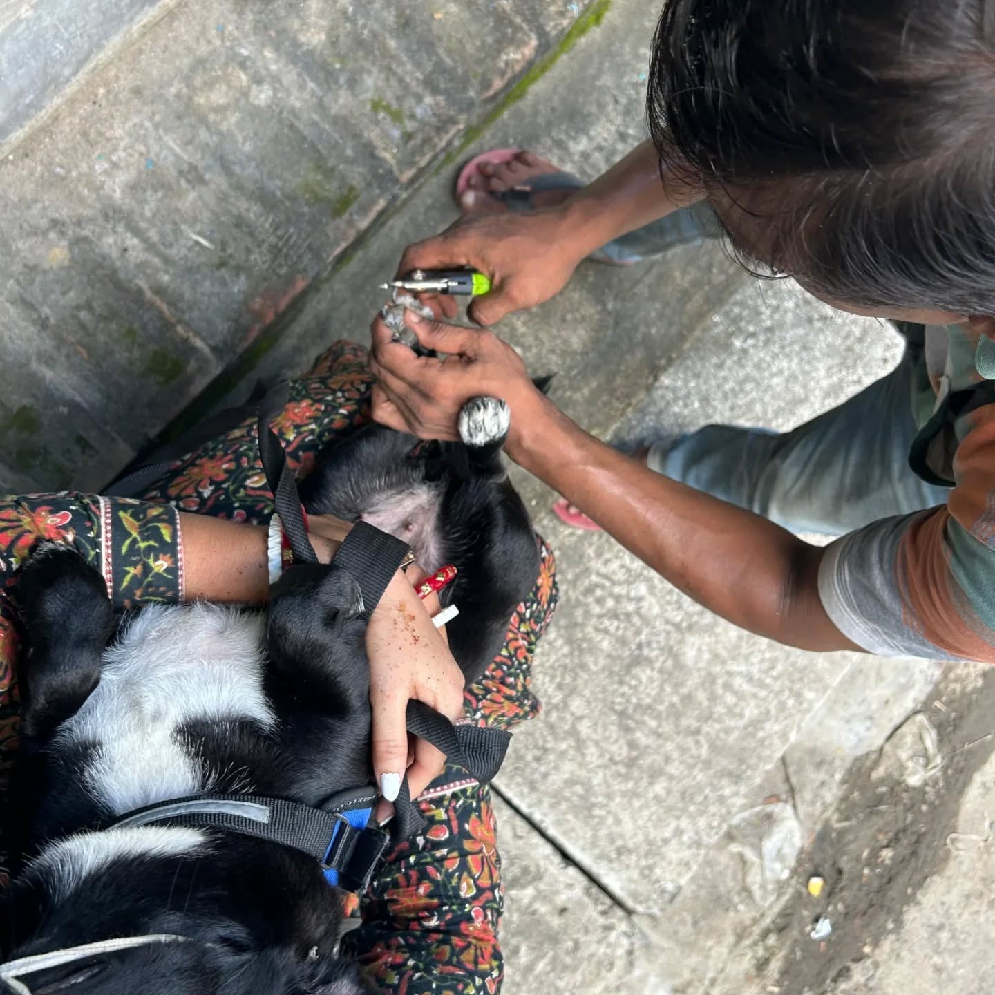 464765090_17850795684321604_7934251094527830019_n