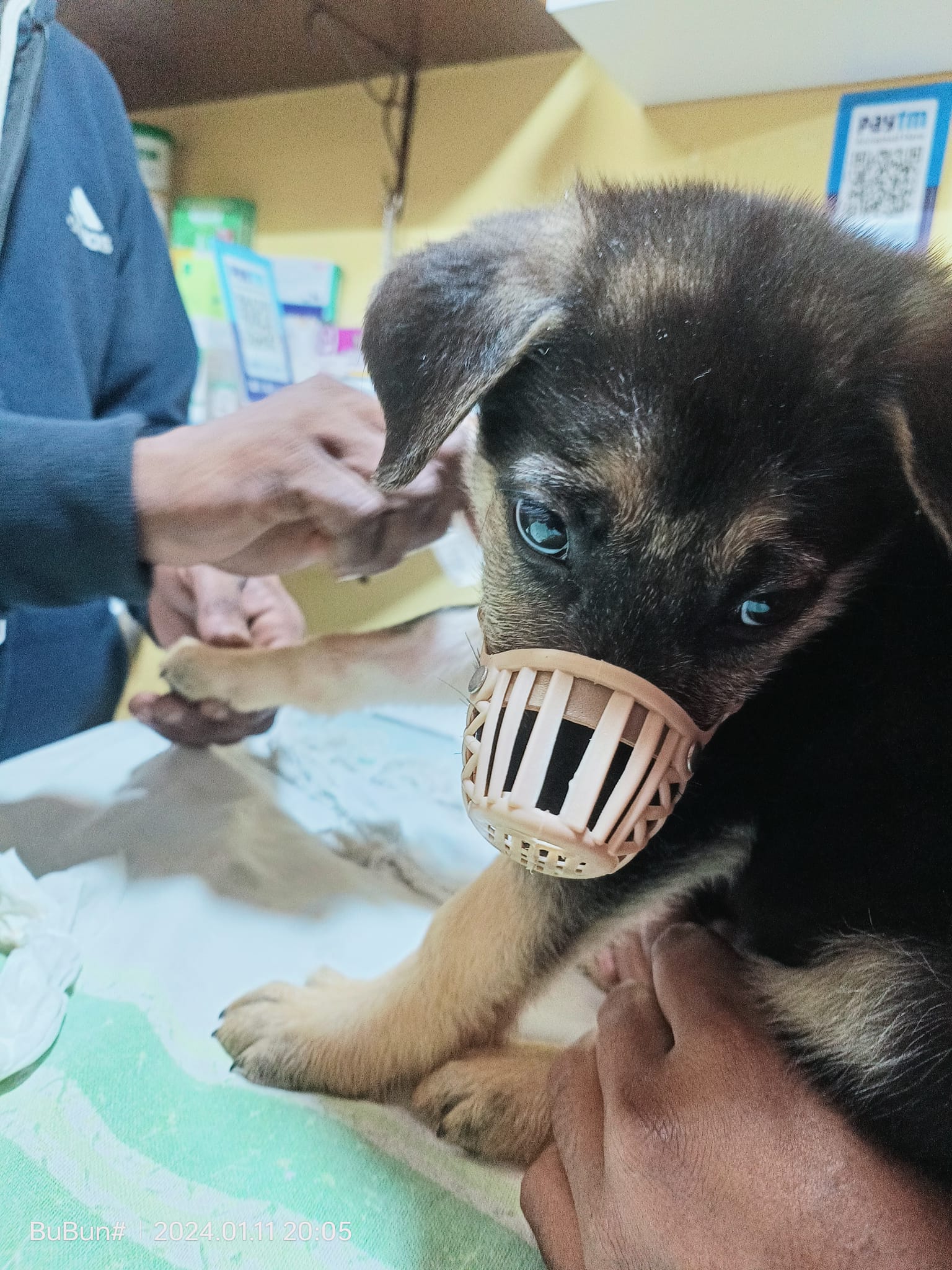 468533008_122181834386176554_8080609831848522062_n