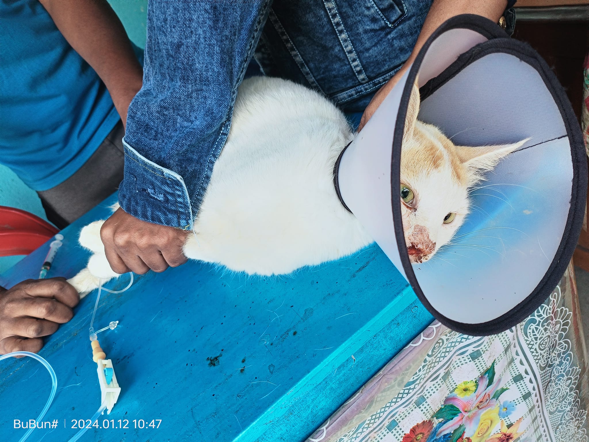 469123842_122183542850176554_3374268379324756411_n