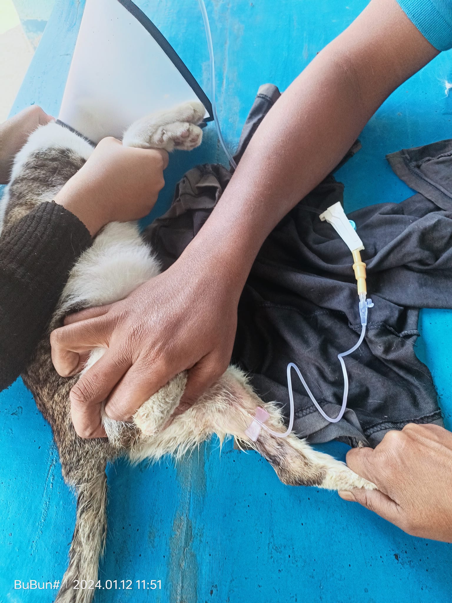 469358312_122183543348176554_4132530050179631901_n