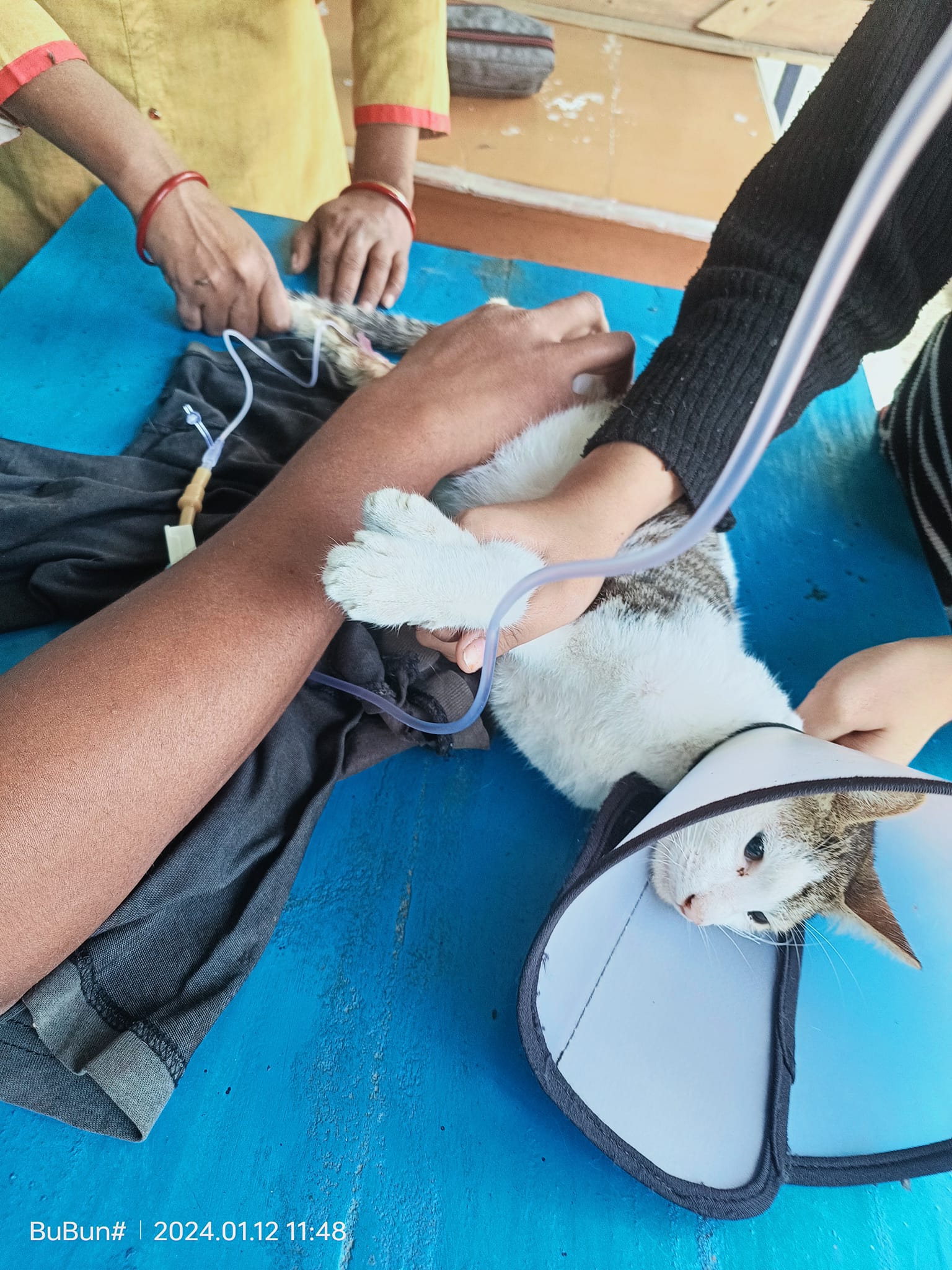 469364216_122183542616176554_5913485194229315497_n