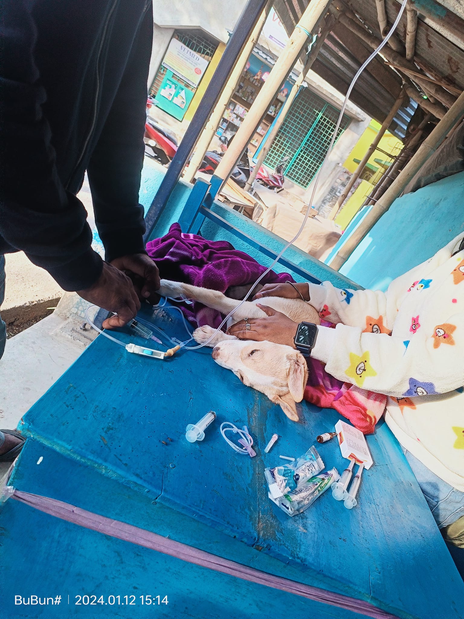 469364587_122183542778176554_4681896436033532455_n