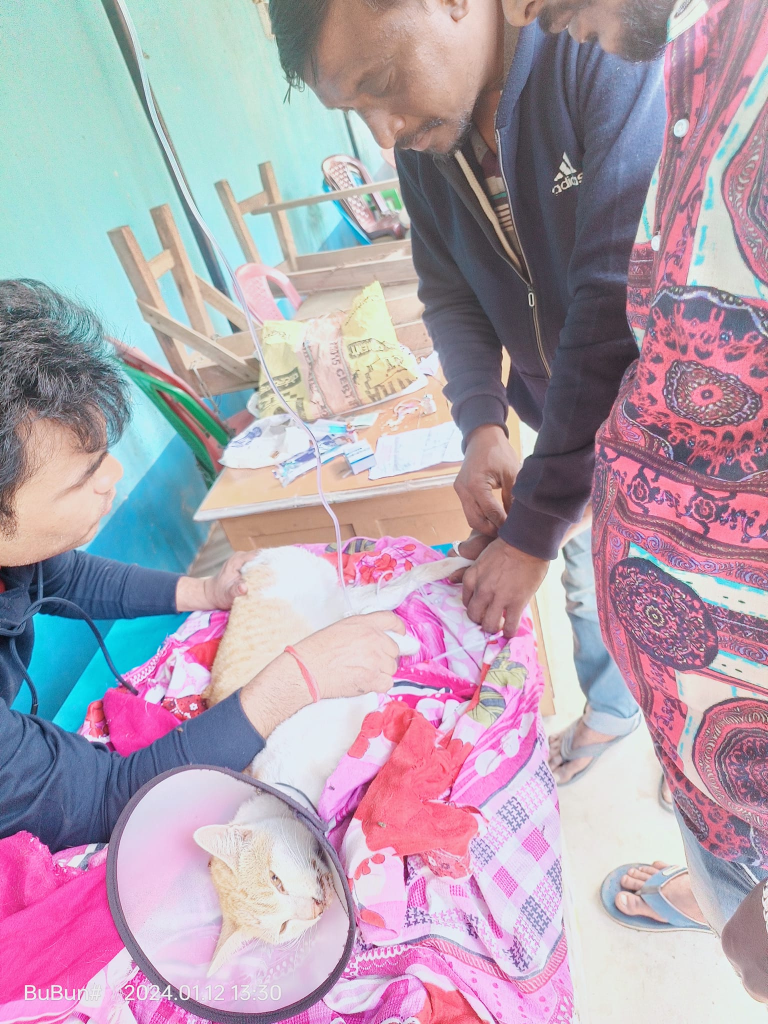 469475367_122183543282176554_716769590375045043_n