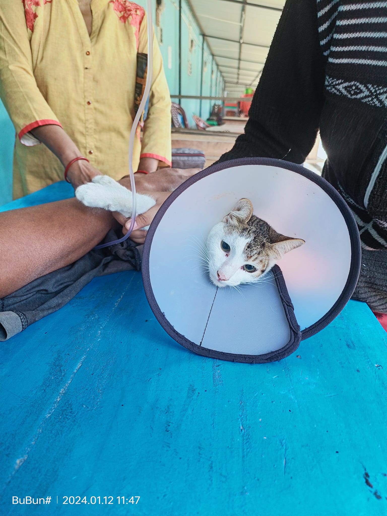 469591157_122183543324176554_4587290291971042957_n