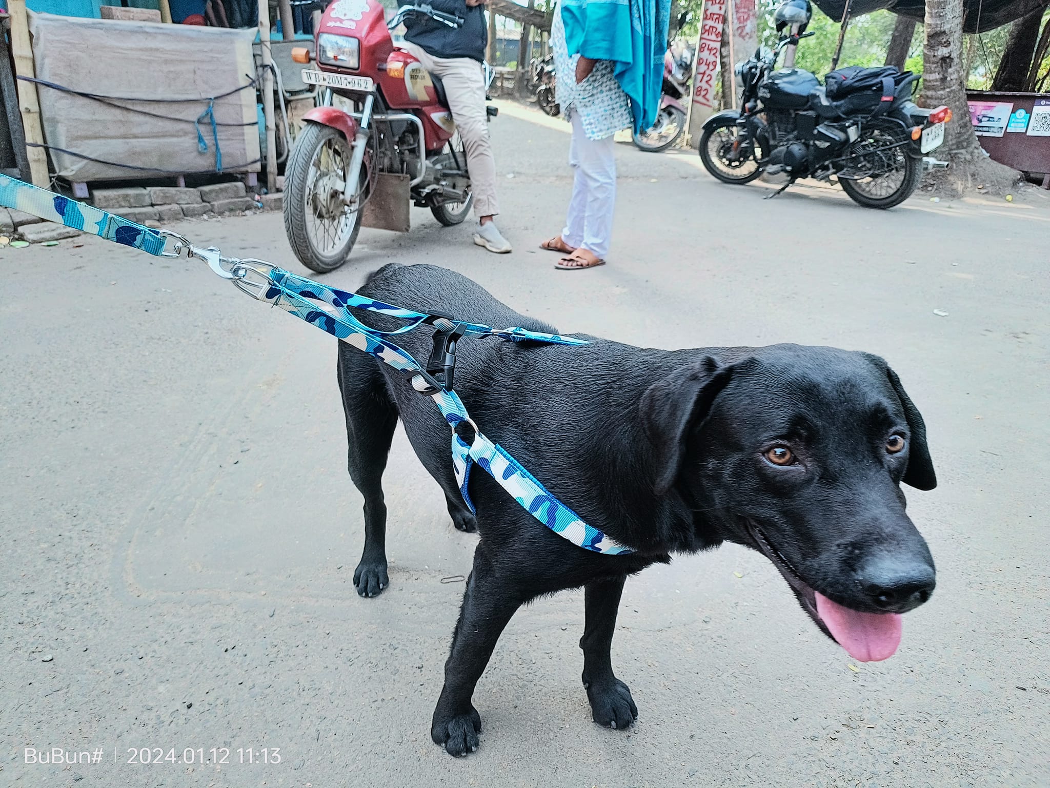 469641845_122183542640176554_1433342540532040094_n