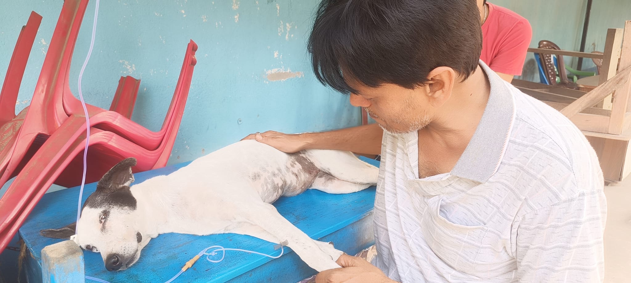 472891805_122189758832176554_5609320785738554140_n