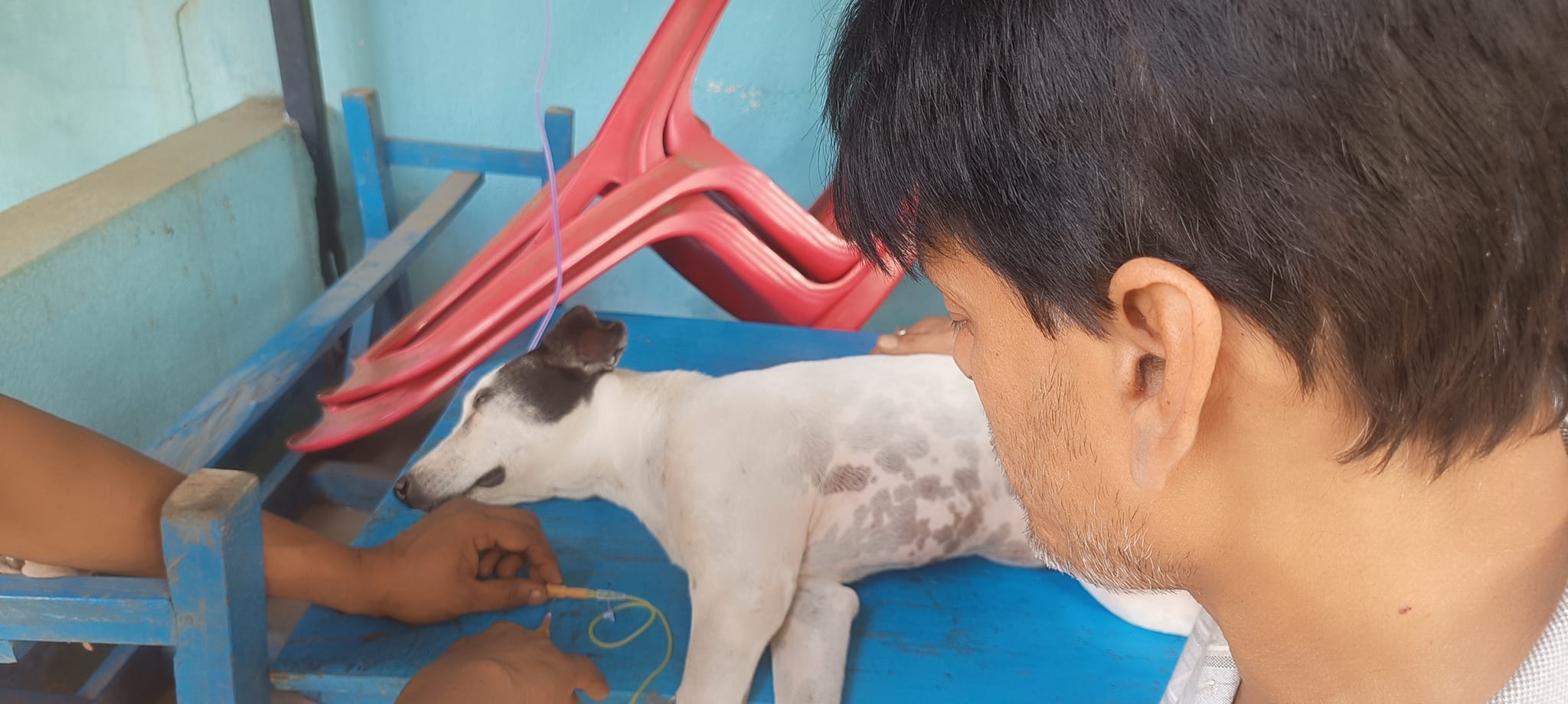 472984751_122189758418176554_6906317140345817879_n